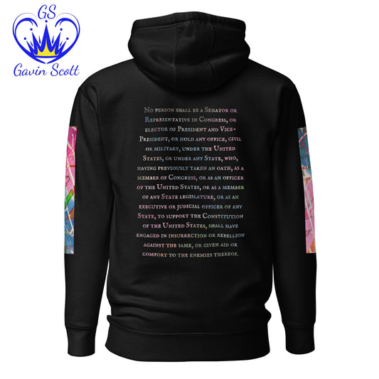 Gavin Scott U.S. CONSTITUTION 14th AMENDMENT SECTION 3 Premium Genderless Hoodie