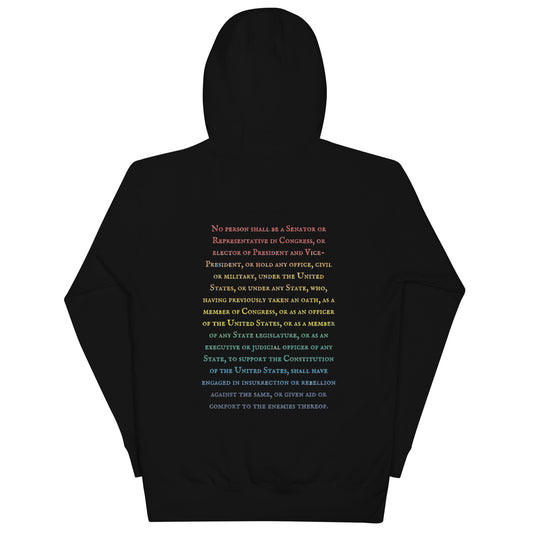 Gavin Scott U.S. CONSTITUTION 14th AMENDMENT SECTION 3 Genderless Hoodie