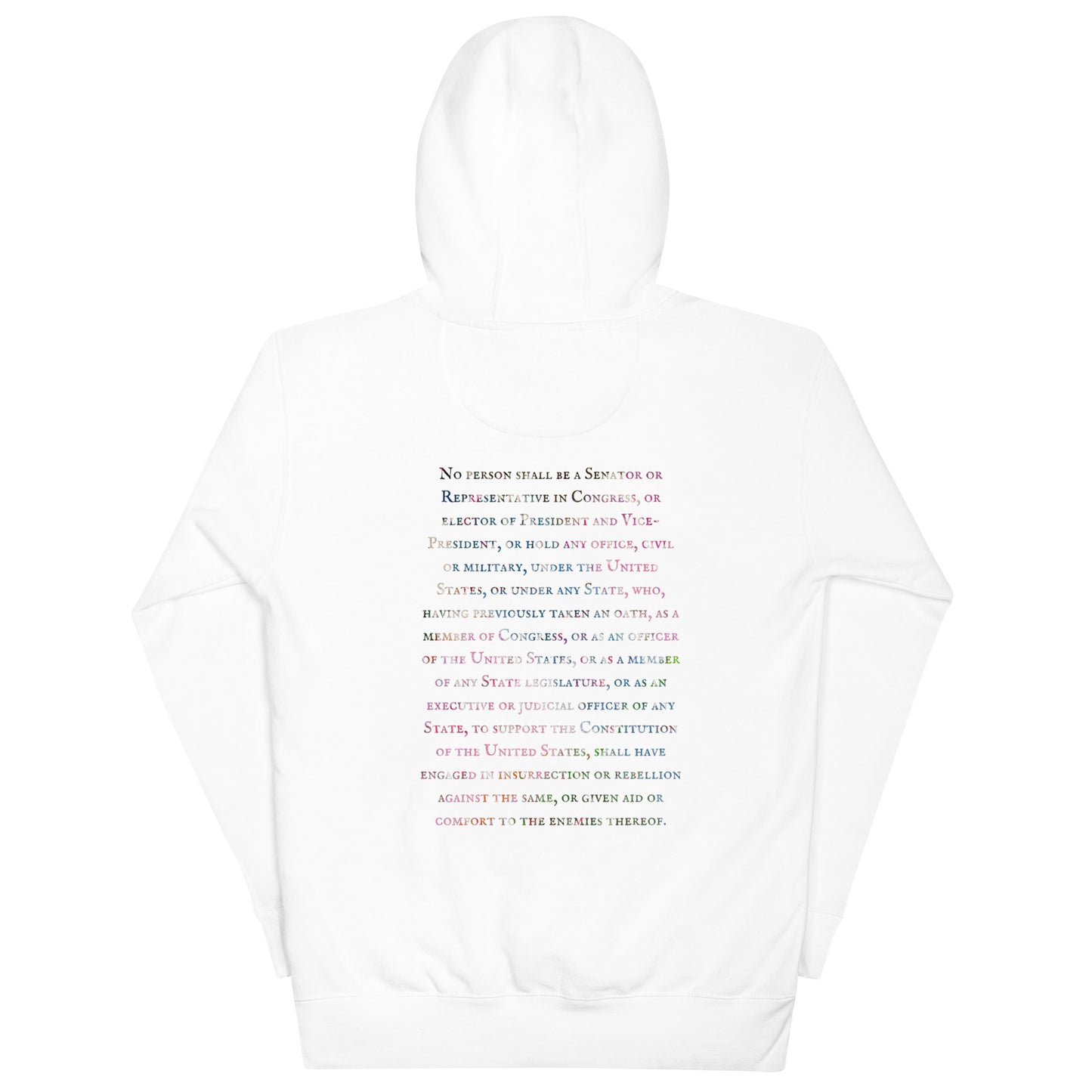 Gavin Scott U.S. CONSTITUTION 14th AMENDMENT SECTION 3 Premium Genderless Hoodie