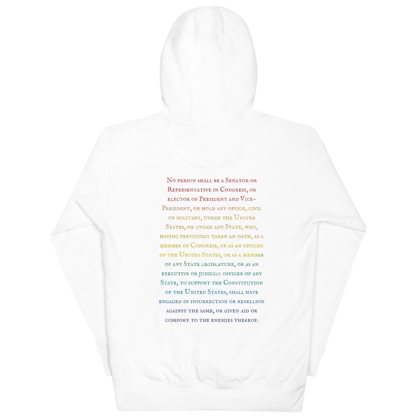 Gavin Scott U.S. CONSTITUTION 14th AMENDMENT SECTION 3 Genderless Hoodie
