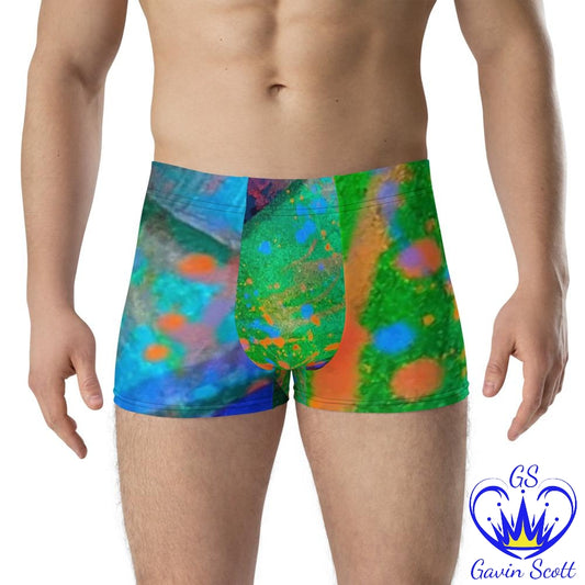 Gavin Scott Boxer Briefs (Masc XS-3XL)