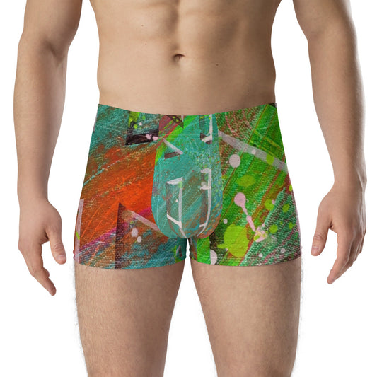 Gavin Scott Boxer Briefs (Masc XS-3XL)