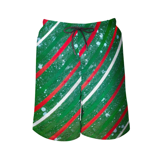 Gavin Scott Quick Drying Swim Trunks / Beach Shorts (Masc S-2XL)