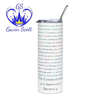 Gavin Scott 14th Amendment Section 3 Stainless Steel Tumbler