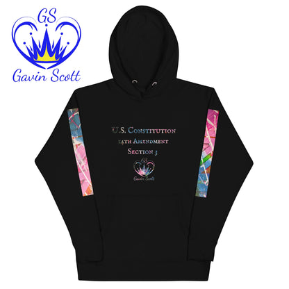 Gavin Scott U.S. CONSTITUTION 14th AMENDMENT SECTION 3 Premium Genderless Hoodie