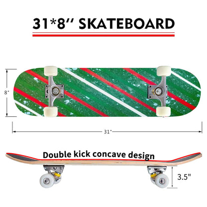 Gavin Scott Complete Skateboard