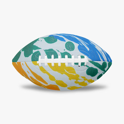 Gavin Scott American Football