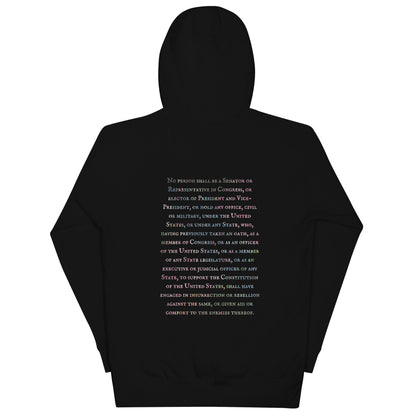 Gavin Scott U.S. CONSTITUTION 14th AMENDMENT SECTION 3 Premium Genderless Hoodie