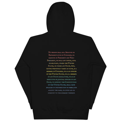 Gavin Scott U.S. CONSTITUTION 14th AMENDMENT SECTION 3 Genderless Hoodie