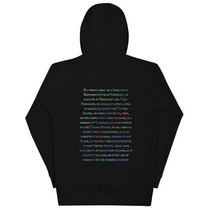 Gavin Scott U.S. CONSTITUTION 14th AMENDMENT SECTION 3 Genderless Hoodie