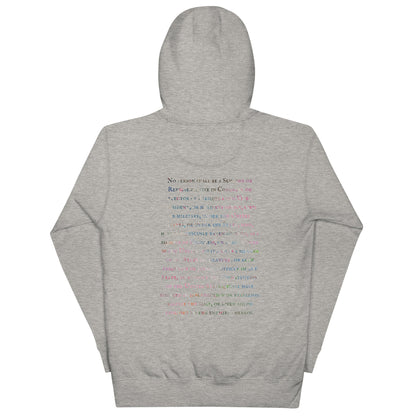 Gavin Scott U.S. CONSTITUTION 14th AMENDMENT SECTION 3 Premium Genderless Hoodie