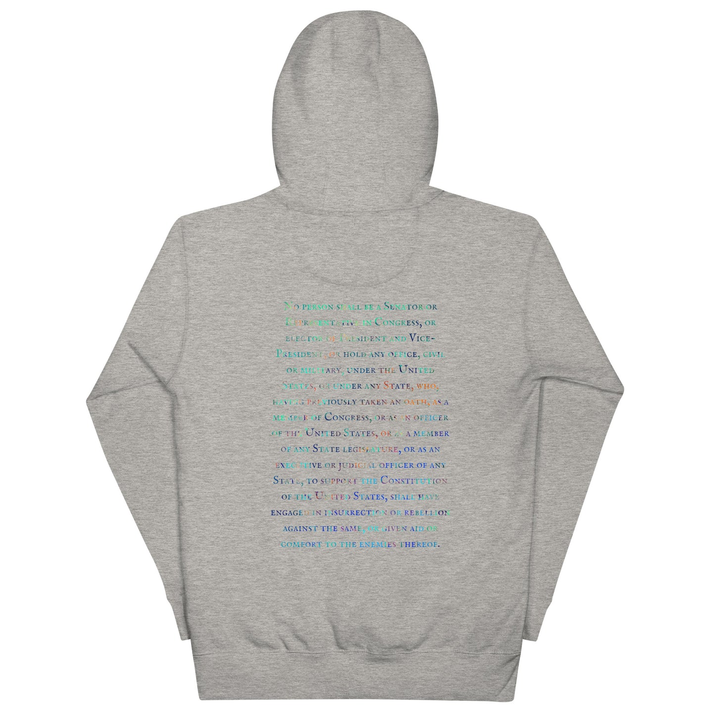 Gavin Scott U.S. CONSTITUTION 14th AMENDMENT SECTION 3 Genderless Hoodie