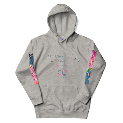 Gavin Scott U.S. CONSTITUTION 14th AMENDMENT SECTION 3 Premium Genderless Hoodie