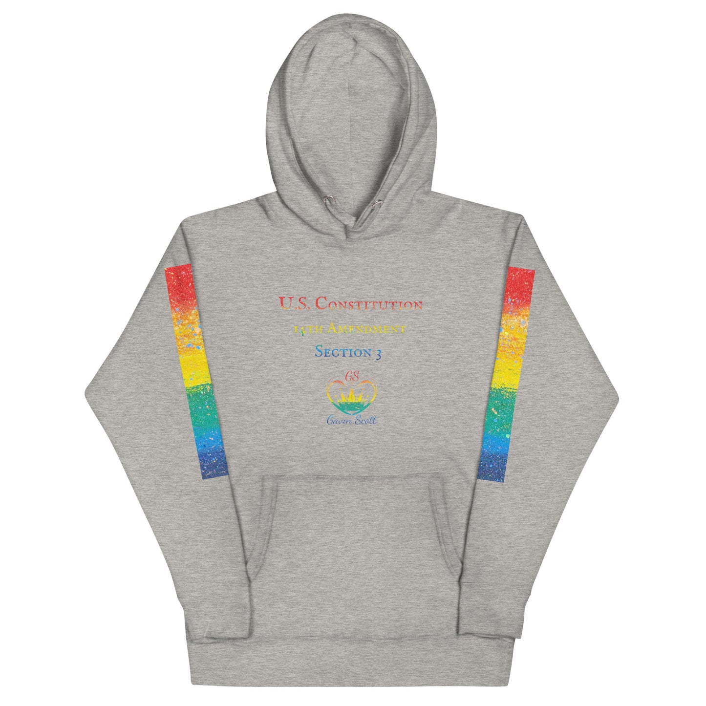 Gavin Scott U.S. CONSTITUTION 14th AMENDMENT SECTION 3 Genderless Hoodie