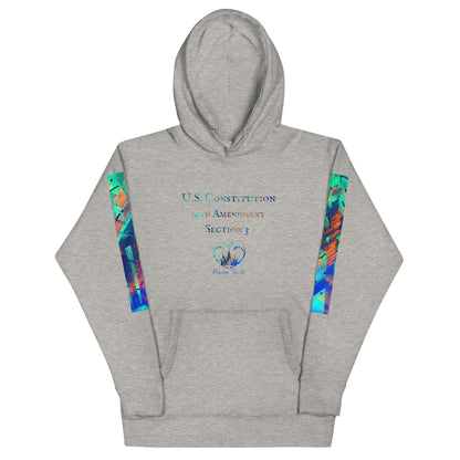 Gavin Scott U.S. CONSTITUTION 14th AMENDMENT SECTION 3 Genderless Hoodie
