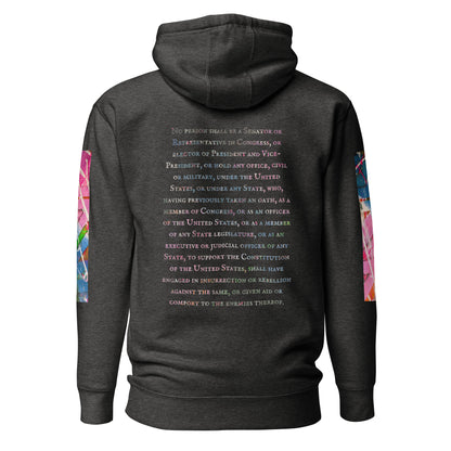 Gavin Scott U.S. CONSTITUTION 14th AMENDMENT SECTION 3 Premium Genderless Hoodie