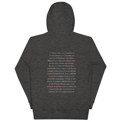 Gavin Scott U.S. CONSTITUTION 14th AMENDMENT SECTION 3 Premium Genderless Hoodie