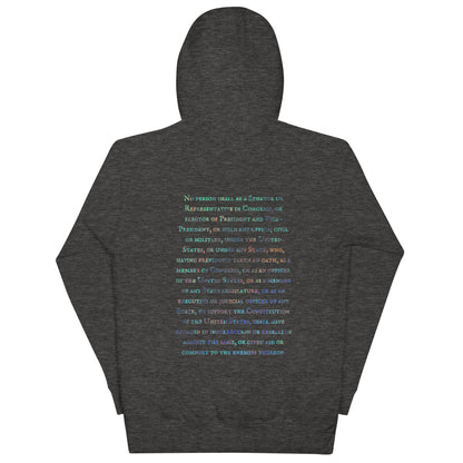 Gavin Scott U.S. CONSTITUTION 14th AMENDMENT SECTION 3 Genderless Hoodie