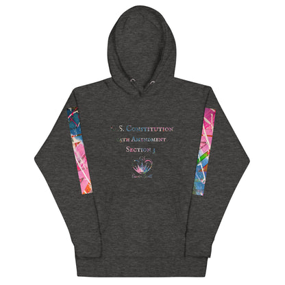 Gavin Scott U.S. CONSTITUTION 14th AMENDMENT SECTION 3 Premium Genderless Hoodie