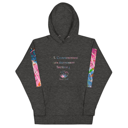 Gavin Scott U.S. CONSTITUTION 14th AMENDMENT SECTION 3 Premium Genderless Hoodie