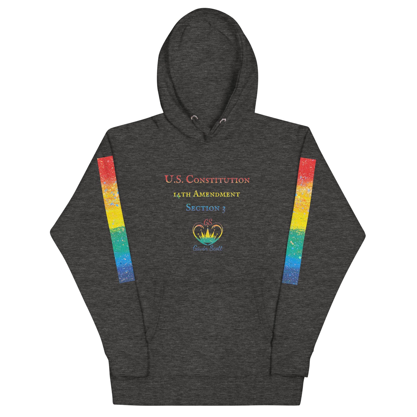 Gavin Scott U.S. CONSTITUTION 14th AMENDMENT SECTION 3 Genderless Hoodie