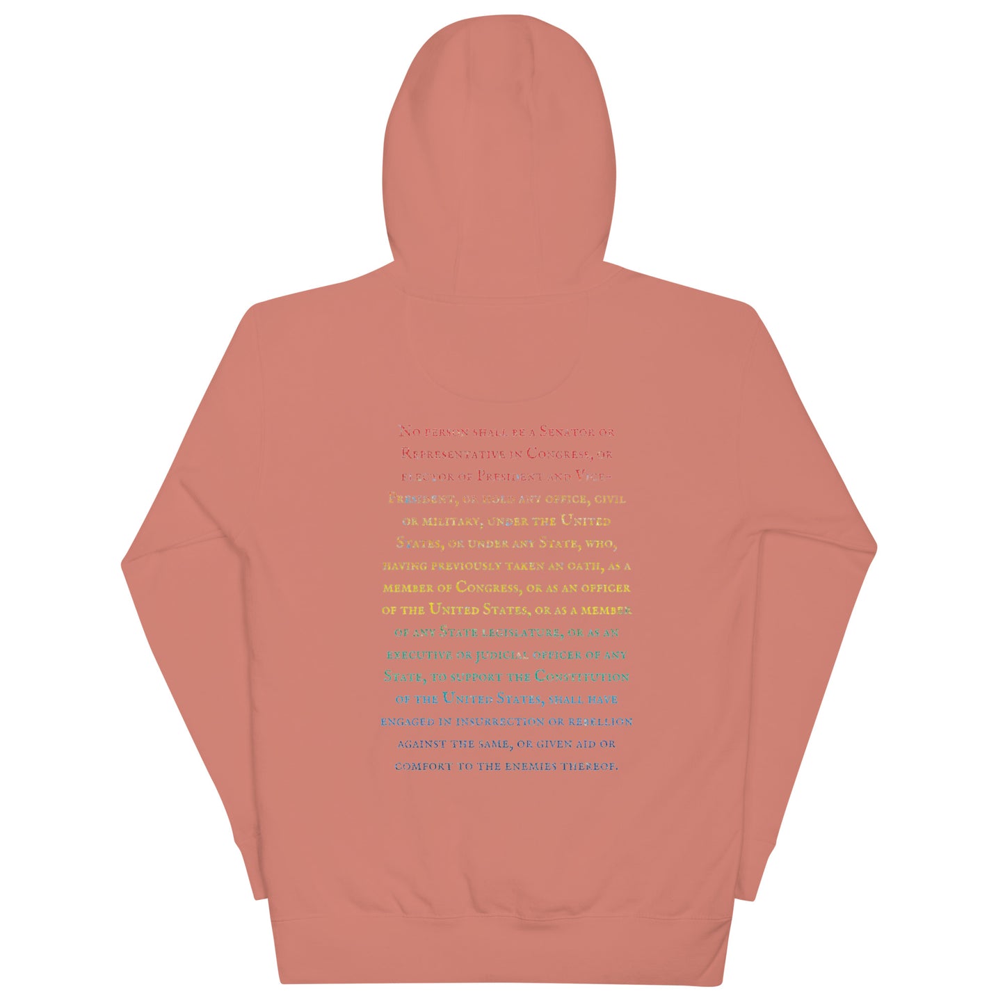 Gavin Scott U.S. CONSTITUTION 14th AMENDMENT SECTION 3 Genderless Hoodie