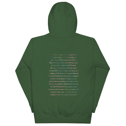 Gavin Scott U.S. CONSTITUTION 14th AMENDMENT SECTION 3 Premium Genderless Hoodie