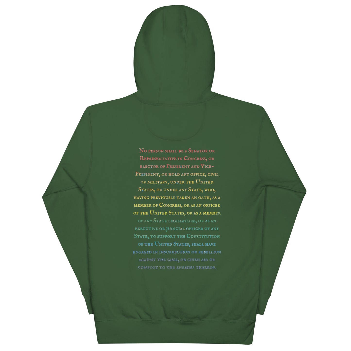 Gavin Scott U.S. CONSTITUTION 14th AMENDMENT SECTION 3 Genderless Hoodie