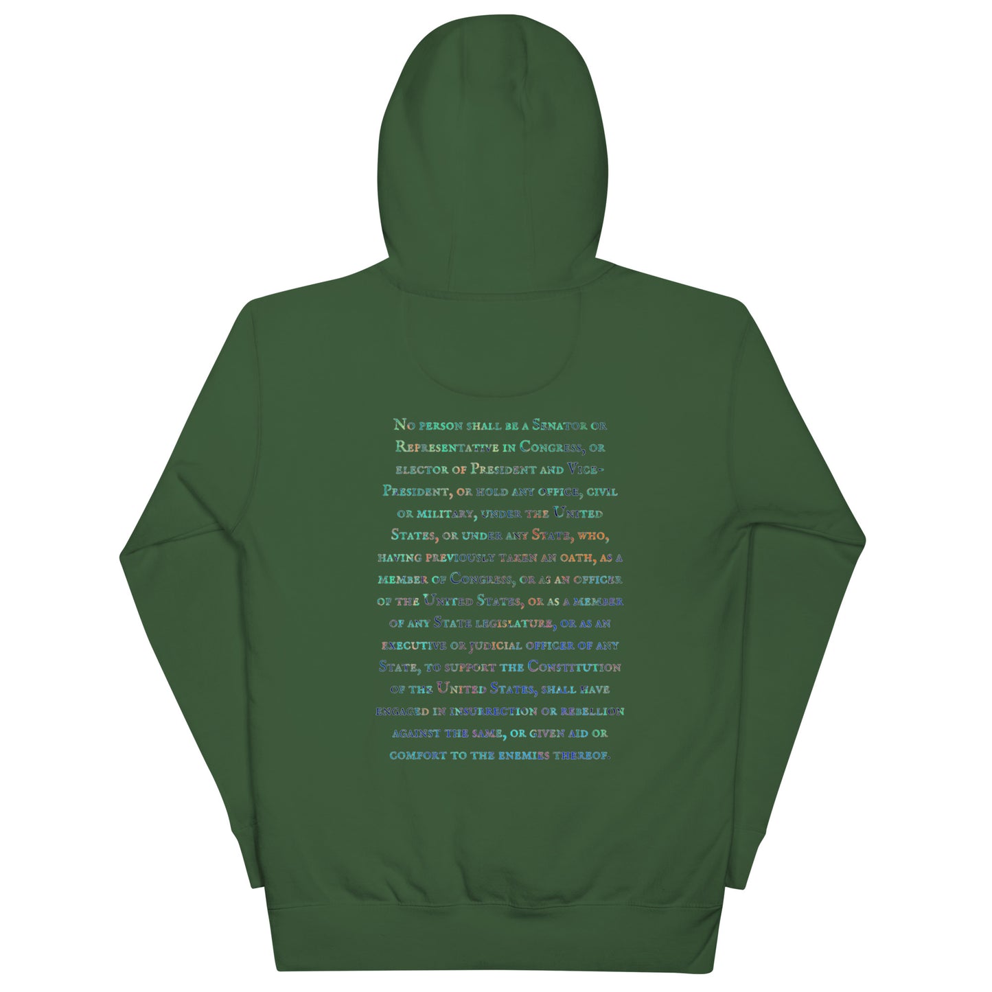 Gavin Scott U.S. CONSTITUTION 14th AMENDMENT SECTION 3 Genderless Hoodie