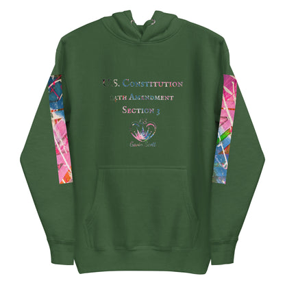 Gavin Scott U.S. CONSTITUTION 14th AMENDMENT SECTION 3 Premium Genderless Hoodie