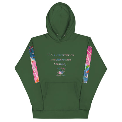 Gavin Scott U.S. CONSTITUTION 14th AMENDMENT SECTION 3 Premium Genderless Hoodie