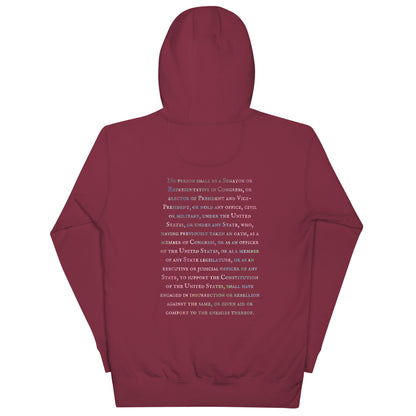 Gavin Scott U.S. CONSTITUTION 14th AMENDMENT SECTION 3 Premium Genderless Hoodie