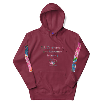 Gavin Scott U.S. CONSTITUTION 14th AMENDMENT SECTION 3 Premium Genderless Hoodie