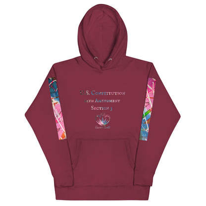 Gavin Scott U.S. CONSTITUTION 14th AMENDMENT SECTION 3 Premium Genderless Hoodie