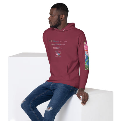 Gavin Scott U.S. CONSTITUTION 14th AMENDMENT SECTION 3 Premium Genderless Hoodie