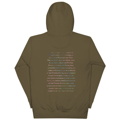 Gavin Scott U.S. CONSTITUTION 14th AMENDMENT SECTION 3 Premium Genderless Hoodie