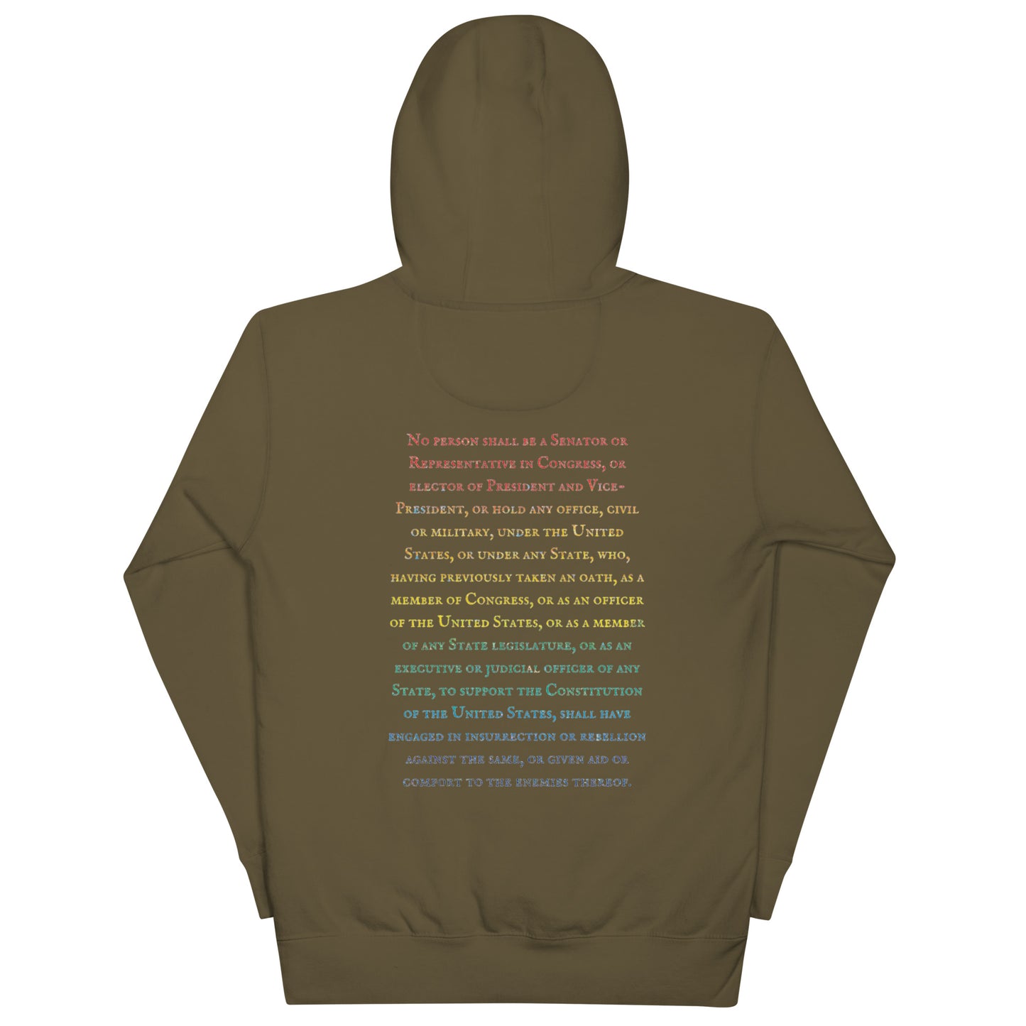 Gavin Scott U.S. CONSTITUTION 14th AMENDMENT SECTION 3 Genderless Hoodie