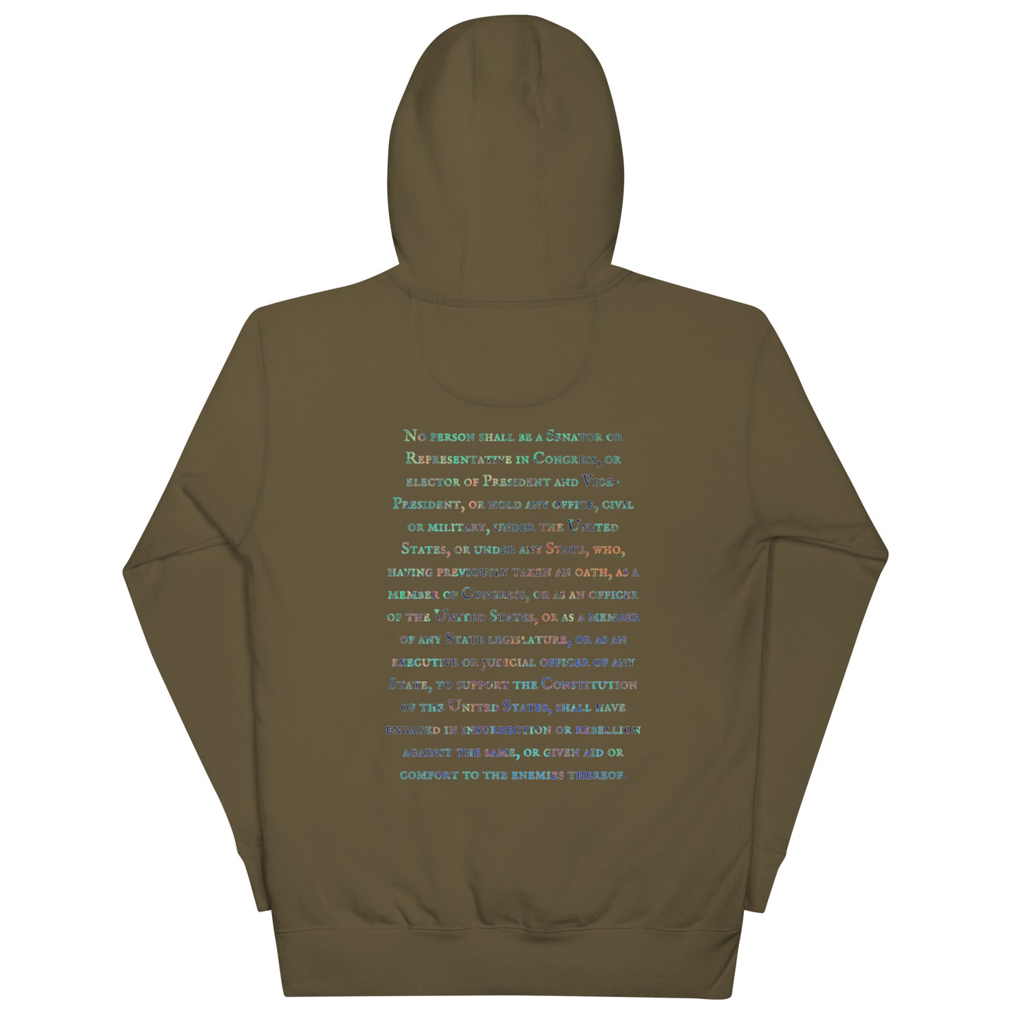 Gavin Scott U.S. CONSTITUTION 14th AMENDMENT SECTION 3 Genderless Hoodie