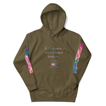 Gavin Scott U.S. CONSTITUTION 14th AMENDMENT SECTION 3 Premium Genderless Hoodie