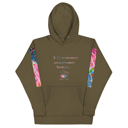 Gavin Scott U.S. CONSTITUTION 14th AMENDMENT SECTION 3 Premium Genderless Hoodie