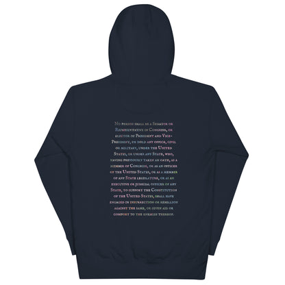 Gavin Scott U.S. CONSTITUTION 14th AMENDMENT SECTION 3 Premium Genderless Hoodie