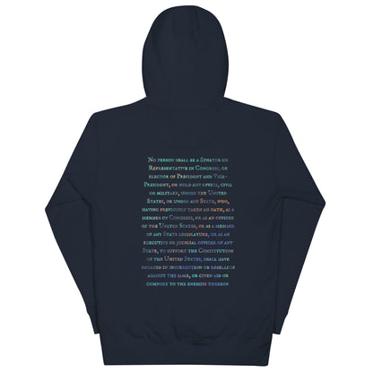 Gavin Scott U.S. CONSTITUTION 14th AMENDMENT SECTION 3 Genderless Hoodie