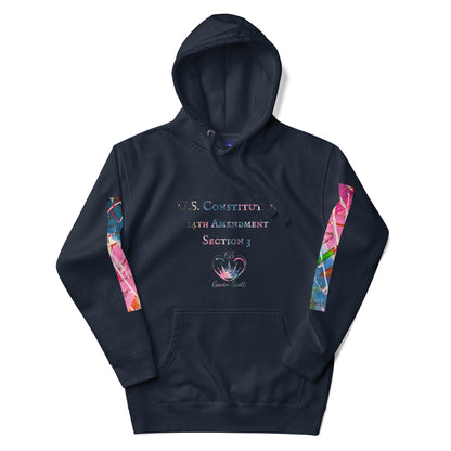 Gavin Scott U.S. CONSTITUTION 14th AMENDMENT SECTION 3 Premium Genderless Hoodie