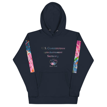 Gavin Scott U.S. CONSTITUTION 14th AMENDMENT SECTION 3 Premium Genderless Hoodie