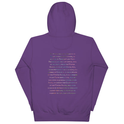 Gavin Scott U.S. CONSTITUTION 14th AMENDMENT SECTION 3 Premium Genderless Hoodie