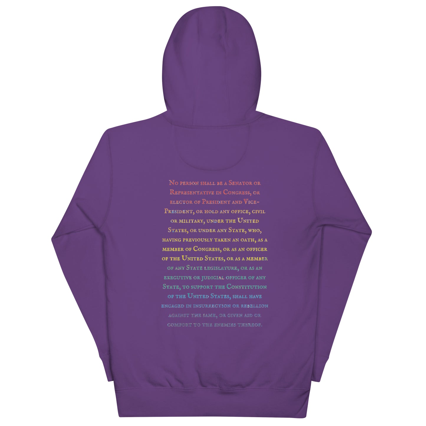 Gavin Scott U.S. CONSTITUTION 14th AMENDMENT SECTION 3 Genderless Hoodie