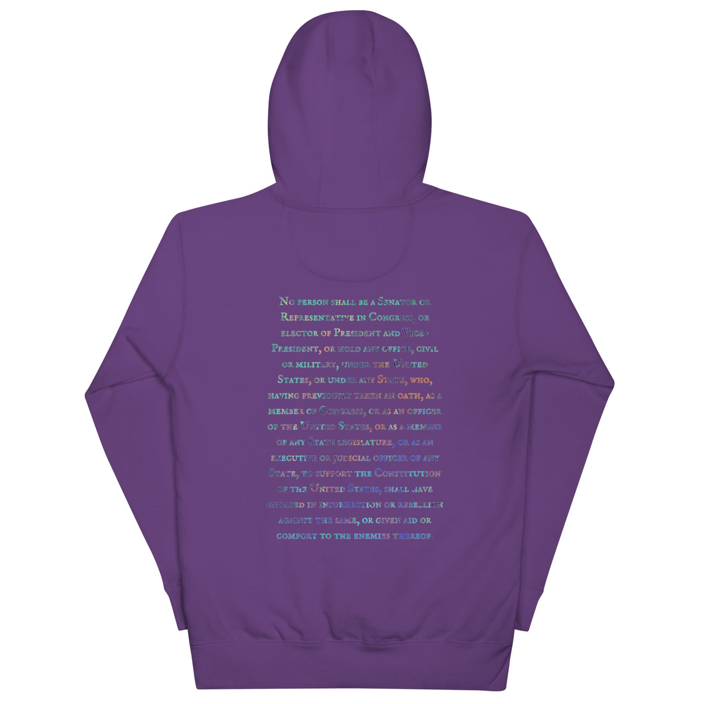 Gavin Scott U.S. CONSTITUTION 14th AMENDMENT SECTION 3 Genderless Hoodie