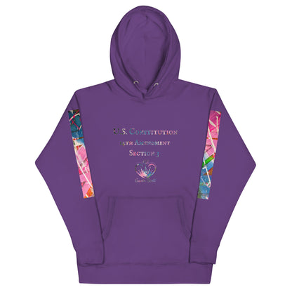 Gavin Scott U.S. CONSTITUTION 14th AMENDMENT SECTION 3 Premium Genderless Hoodie