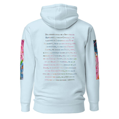 Gavin Scott U.S. CONSTITUTION 14th AMENDMENT SECTION 3 Premium Genderless Hoodie