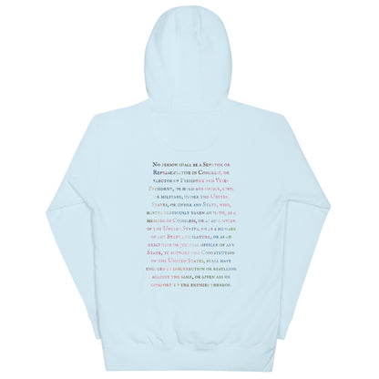 Gavin Scott U.S. CONSTITUTION 14th AMENDMENT SECTION 3 Premium Genderless Hoodie